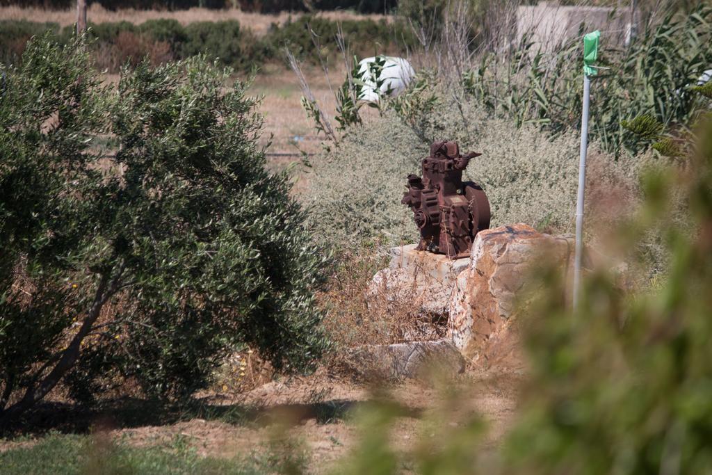Kalea Luxury Villas Agia Anna  エクステリア 写真